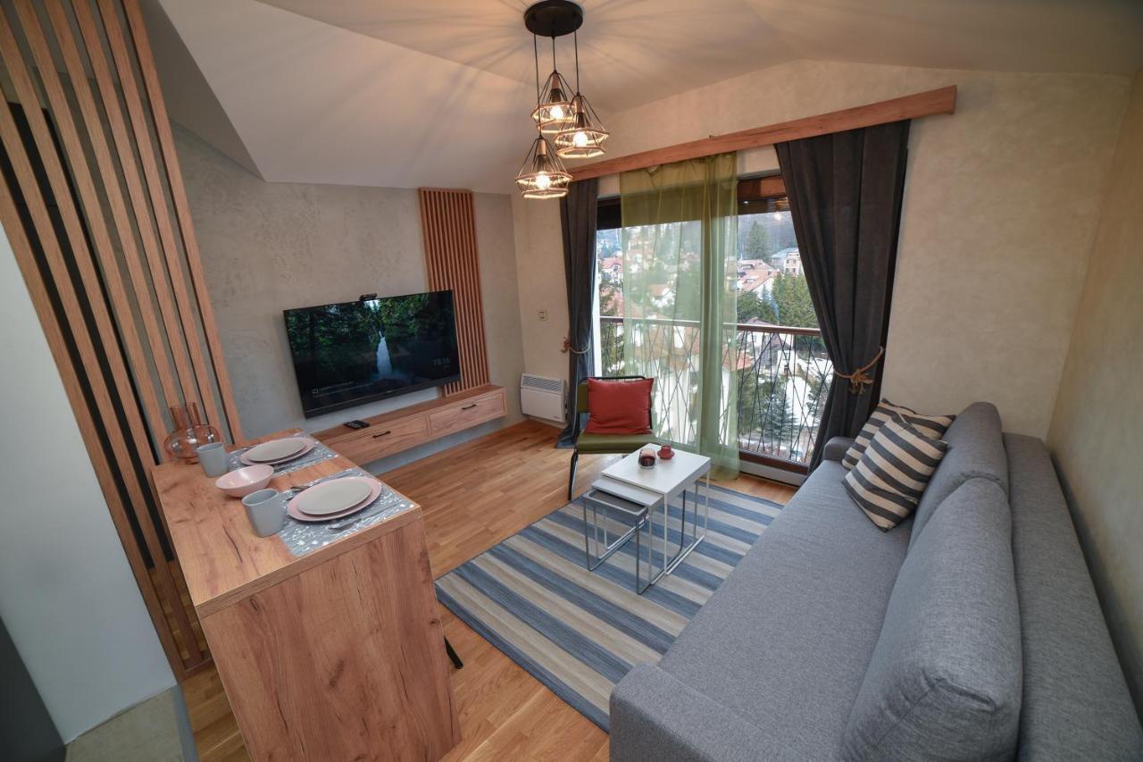 Aria Club Wellness&Spa Zlatibor Exteriér fotografie